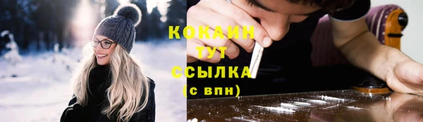 ешки Дмитриев