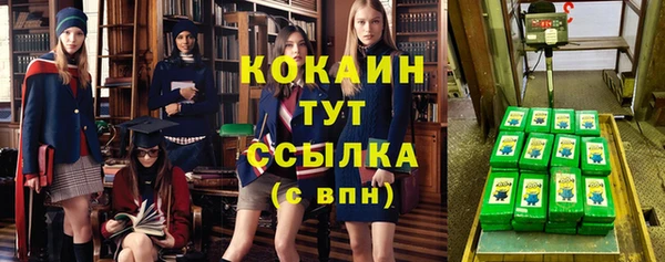 ешки Дмитриев