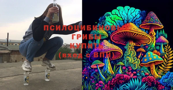 прущие крисы Дмитровск