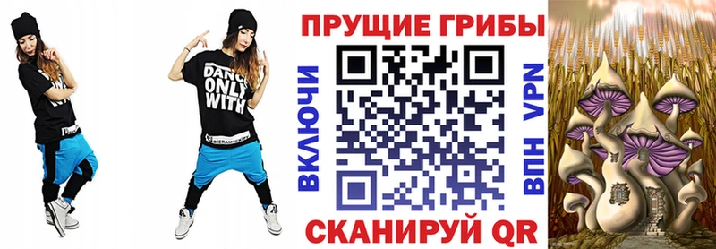 Купить где  Новоульяновск  Псилоцибиновые грибы Psilocybine cubensis 